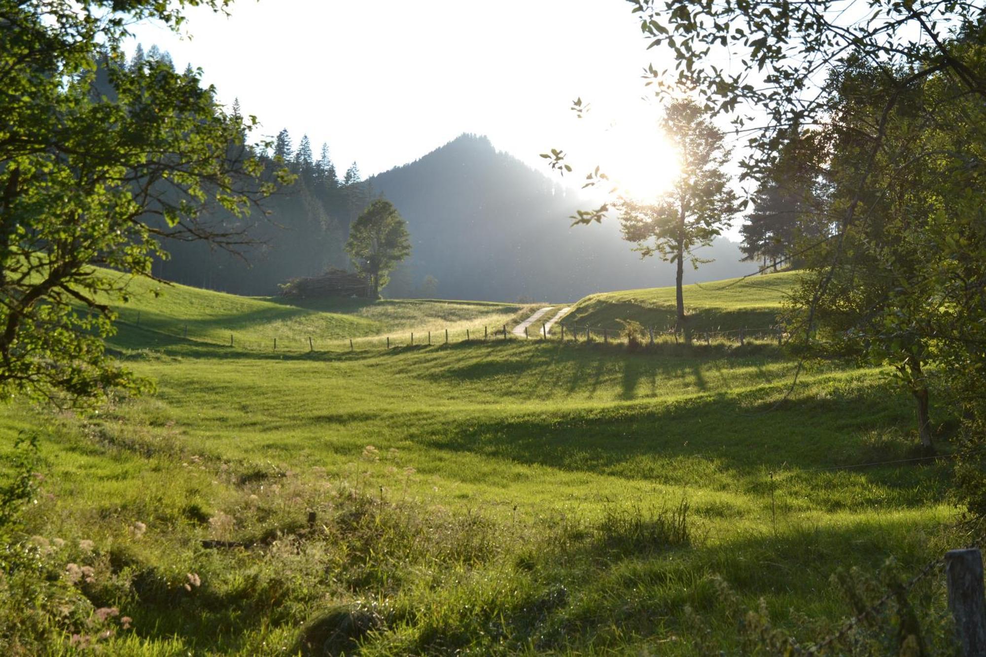 Ferienstadl - Hammerau เกิสต์ลิง อัน แดร์อิบส์ ภายนอก รูปภาพ